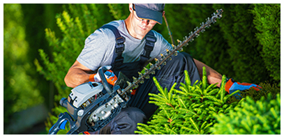 Landscaper in Orlando, FL